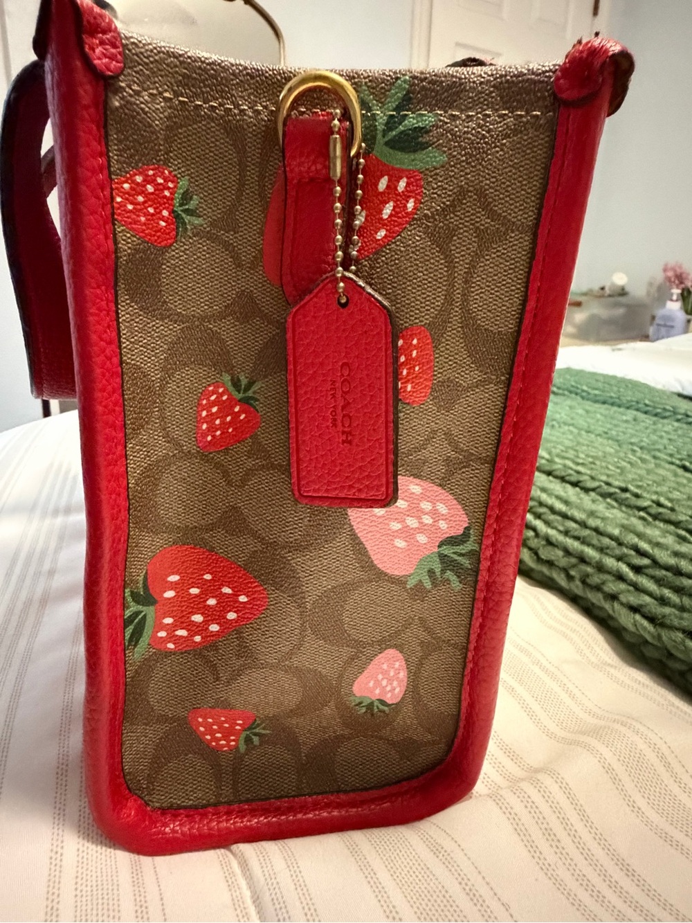 Coach Strawberry Signature Tote in Brown and Red - Picture 2 of 5